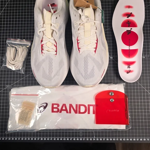 Asics Novablast 5 X BANDIT (Collaboration) LUCENT WHITE